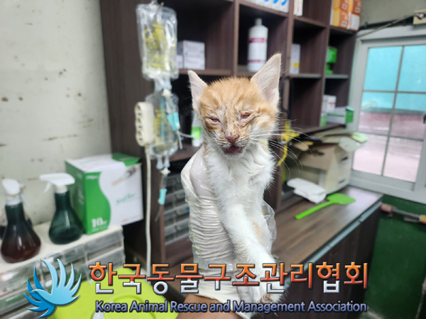 종료(자연사) 한국…